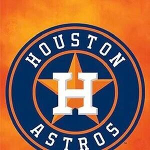 NWT Houston Astros Large Socks MLB